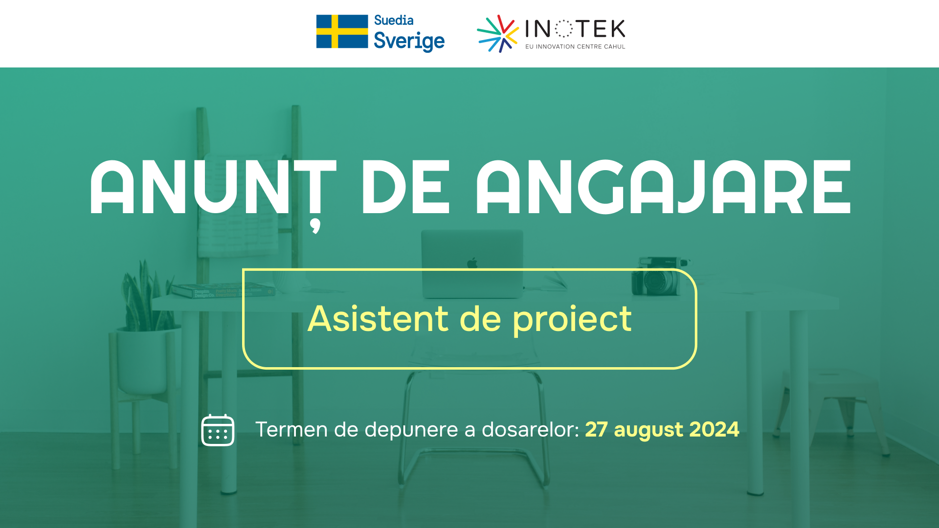 Asistent de proiect
