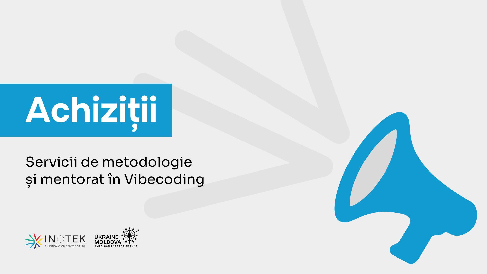 Methodology and Mentorship Services in Vibecoding (Hackathon)