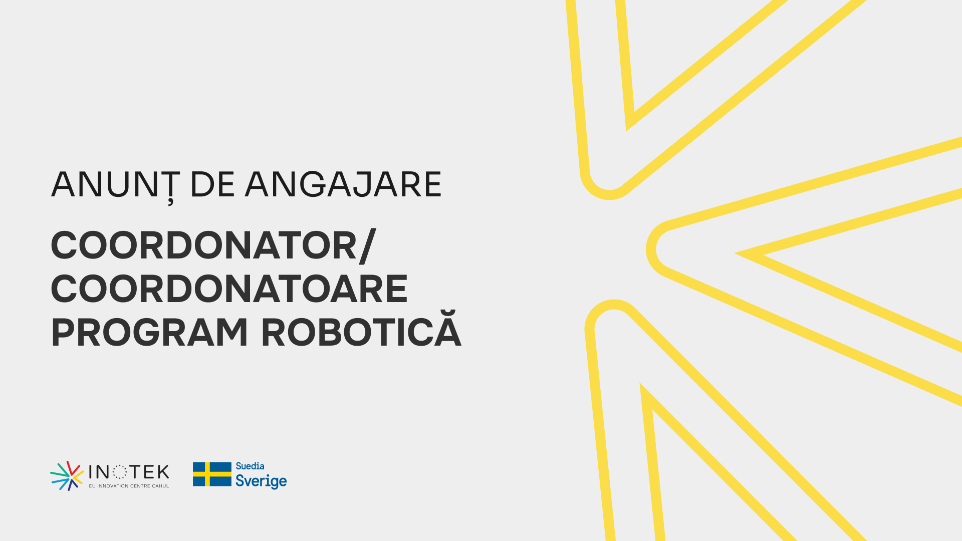 Coordonator/Coordonatoare Program Robotică