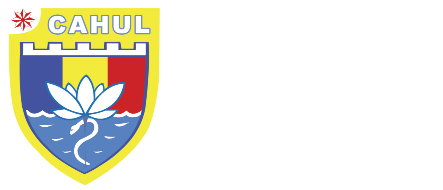 Parteneri strategici